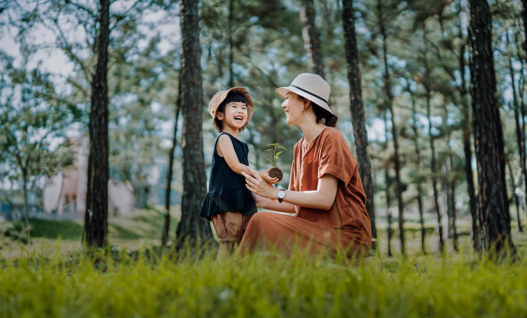 hero section background